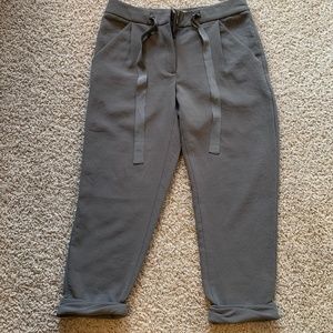 Wilfred Crop Pant, Mid Rise, Size 2